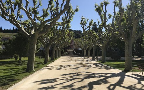 Nouveau revètement dans un parc communal